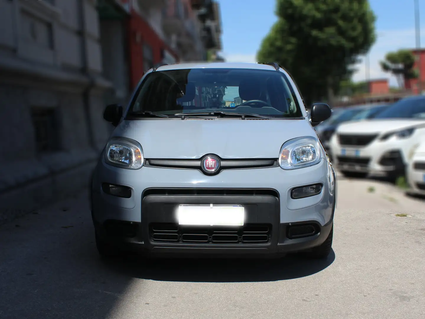 Fiat Panda 1.0 70 CV FIREFLY HYBRID SPORT Grigio - 1