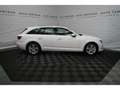 Audi A4 Av TDI sport Xenon+Navi+Virtual+Sportsitze+PDC Blanco - thumbnail 7