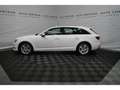 Audi A4 Av TDI sport Xenon+Navi+Virtual+Sportsitze+PDC Blanco - thumbnail 2