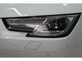Audi A4 Av TDI sport Xenon+Navi+Virtual+Sportsitze+PDC Blanco - thumbnail 29