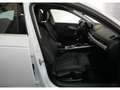 Audi A4 Av TDI sport Xenon+Navi+Virtual+Sportsitze+PDC Blanco - thumbnail 14
