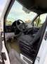 Mercedes-Benz Sprinter 209 CDI Sprinter 209 CDI 906.113 Weiß - thumbnail 5