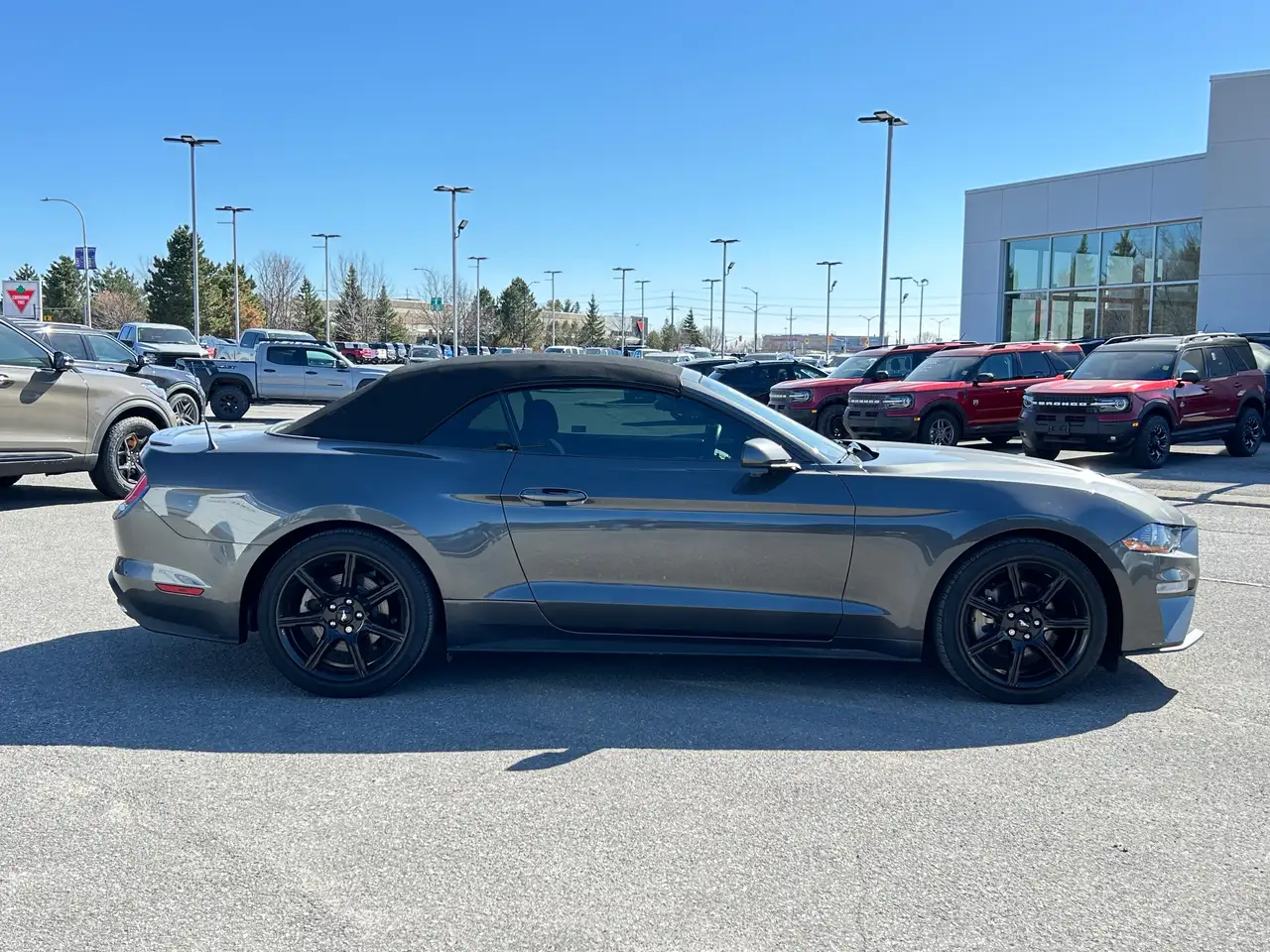 Ford Mustang снимка Ford Mustang