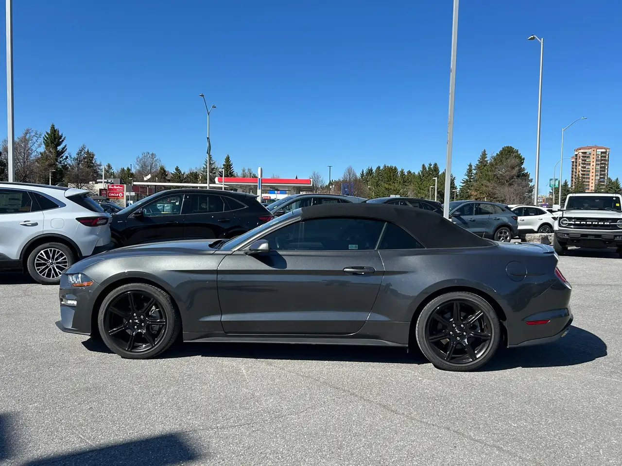 Ford Mustang снимка Ford Mustang