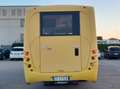 Iveco Daily 65 Scuolabus 40+2 Cacciamali IVA ESCLUSA Amarillo - thumbnail 3