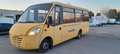 Iveco Daily 65 Scuolabus 40+2 Cacciamali IVA ESCLUSA Geel - thumbnail 1