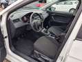 SEAT Ibiza 1.0 TGI 66kW (90CV) Reference Business Blanco - thumbnail 8