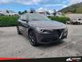 Alfa Romeo Stelvio 2.2 Turbodiesel 190 CV AT8 Q4 Business Grey - thumbnail 1