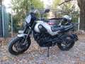 Benelli Leoncino 500 trail Argento - thumbnail 2