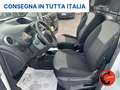 Renault Kangoo Z.E. 44 KW ALLESTITO-CRUISE-BATTERIE DI PROPRETA'- Biały - thumbnail 21