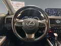 Lexus RX 450h Luxury Line +360° Kamera+Leder+Navi+ Silber - thumbnail 13