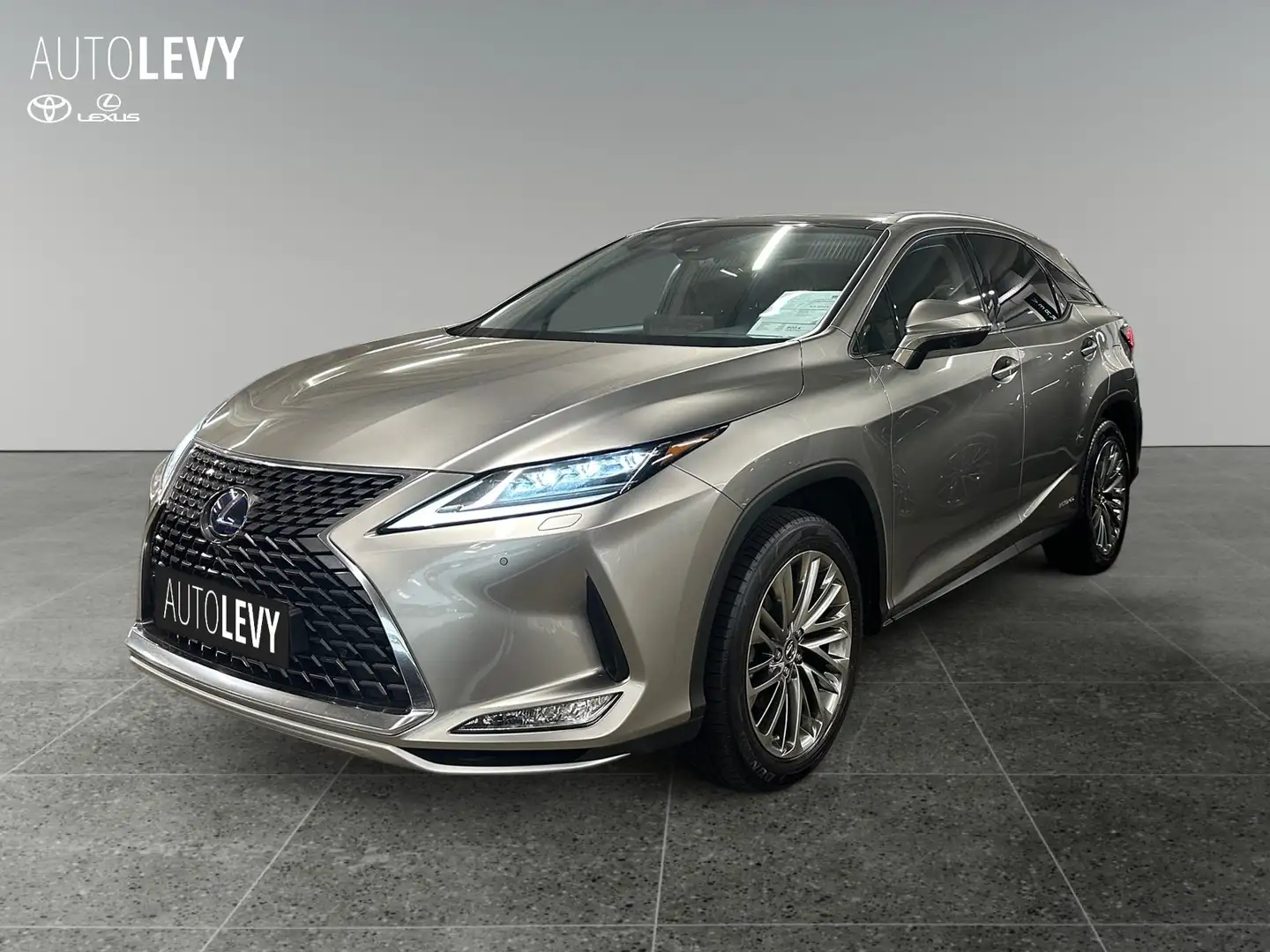 Lexus RX 450h Luxury Line +360° Kamera+Leder+Navi+ Silber - 2