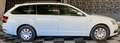 Skoda Octavia Combi Drive,Schiebedach,Navi,ACC Weiß - thumbnail 8