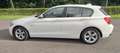 BMW 114 114d Weiß - thumbnail 5