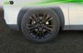 Lexus RX 350 Blanco - thumbnail 20
