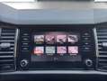 Skoda Kodiaq 2.0 TDI Ambition 7-Sitzer (EURO 6d-TEMP) Grün - thumbnail 27