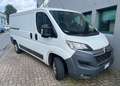 Citroen Jumper L2 H1 Bianco - thumbnail 1