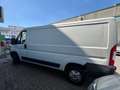 Citroen Jumper L2 H1 Bianco - thumbnail 6