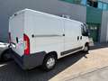 Citroen Jumper L2 H1 Bianco - thumbnail 3