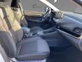 Nissan Qashqai N-Connecta MHEV 1.3 DIG-T Xtronic Winter Techn. White - thumbnail 10