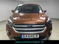 Ford Kuga Titanium Allrad Kima Tempomat Winterpaket Brązowy - thumbnail 2