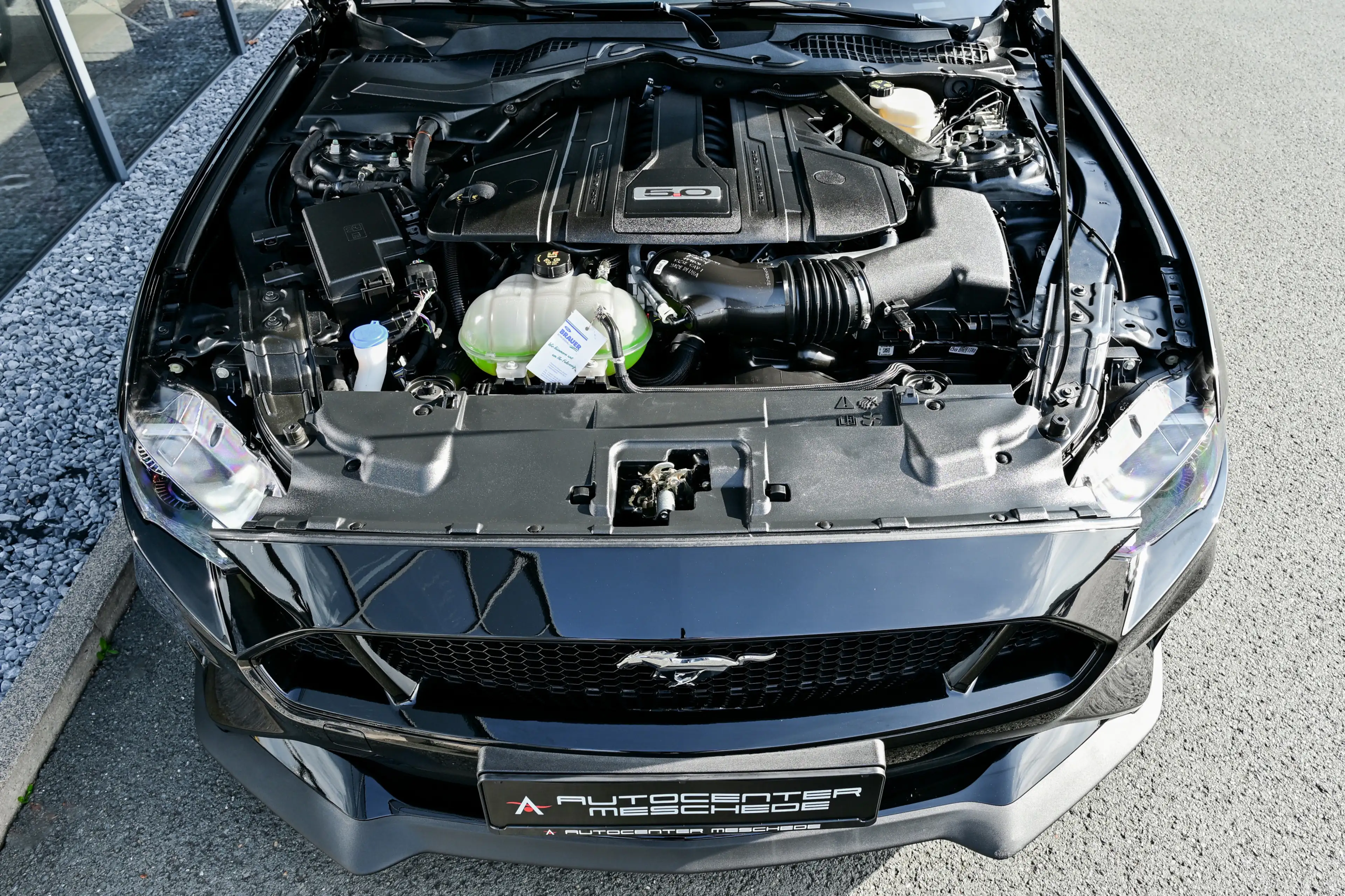 Ford Mustang Cabrio 5.0 Ti-VCT V8 GT Aut. MagneRide* — photo 7