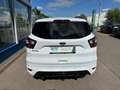 Ford Kuga 1.5 EcoBoost KAT ST-Line Weiß - thumbnail 6