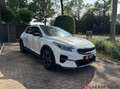 Kia XCeed 1.5 T-GDI MHEV Black Edition Orig. NL Blanc - thumbnail 3