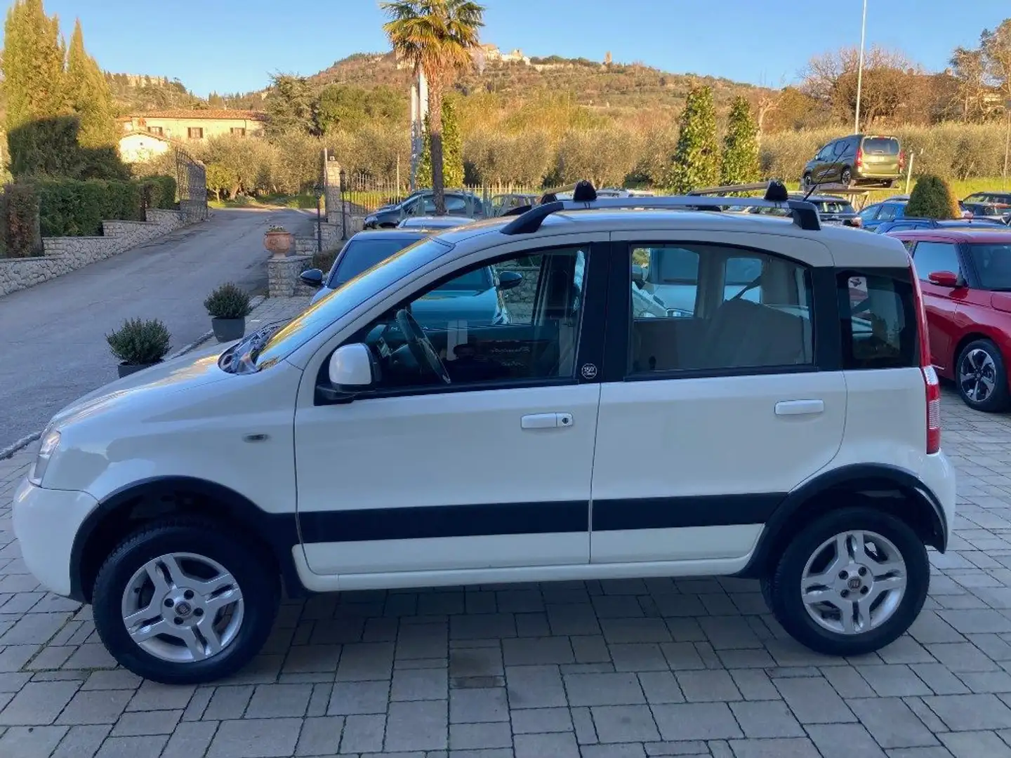 Fiat Panda 1.3 MJT 16V DPF 4x4 Climbing Bianco - 2