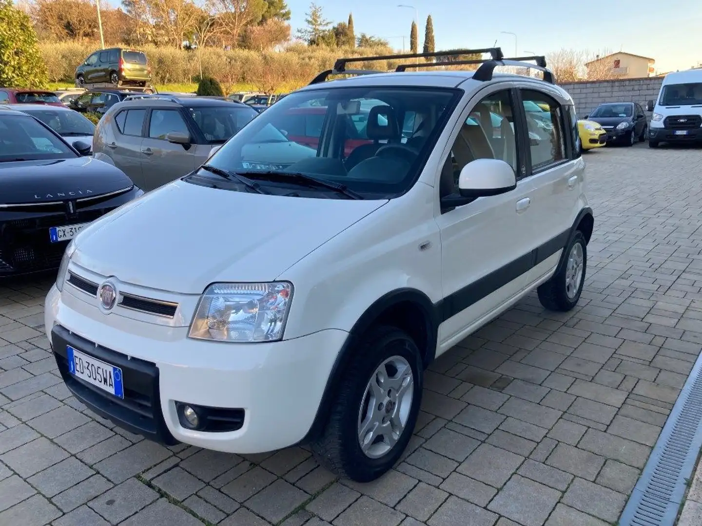 Fiat Panda 1.3 MJT 16V DPF 4x4 Climbing Bianco - 1
