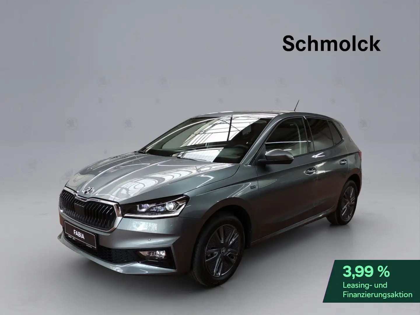 Skoda Fabia Tour 1.0 MPI 80PS RFK DAB GRA LED PDC Gris - 1