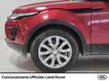 Land Rover Range Rover Evoque 5p 2.2 sd4 pure tech pack 190cv Rood - thumbnail 17