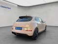 Ora Funky Cat 300 Pro Beige - thumbnail 7