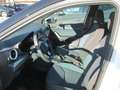 SEAT Arona 1,0 Eco TSI Style Edition DSG Weiß - thumbnail 6