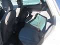 SEAT Arona 1,0 Eco TSI Style Edition DSG Weiß - thumbnail 17