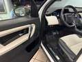 Land Rover Discovery Sport Discovery Sport 2.0 TD4 180 CV AWD Auto R-Dynamic Bianco - thumbnail 9