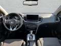Kia Ceed / cee'd 1.5 T-GDI Spirit Navi LED ACC Apple CarPlay Androi Weiß - thumbnail 9
