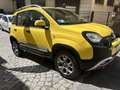 Fiat Panda Panda III 2012 4x4 1.3 mjt 16v Cross 4x4 80cv Or - thumbnail 2