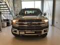 Ford F 150 Todoterreno Automático de 2 Puertas Azul - thumbnail 9