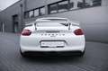 Porsche Cayman GT4-Sport-Chrono-Approved-PCM Weiß - thumbnail 7