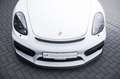 Porsche Cayman GT4-Sport-Chrono-Approved-PCM Weiß - thumbnail 8