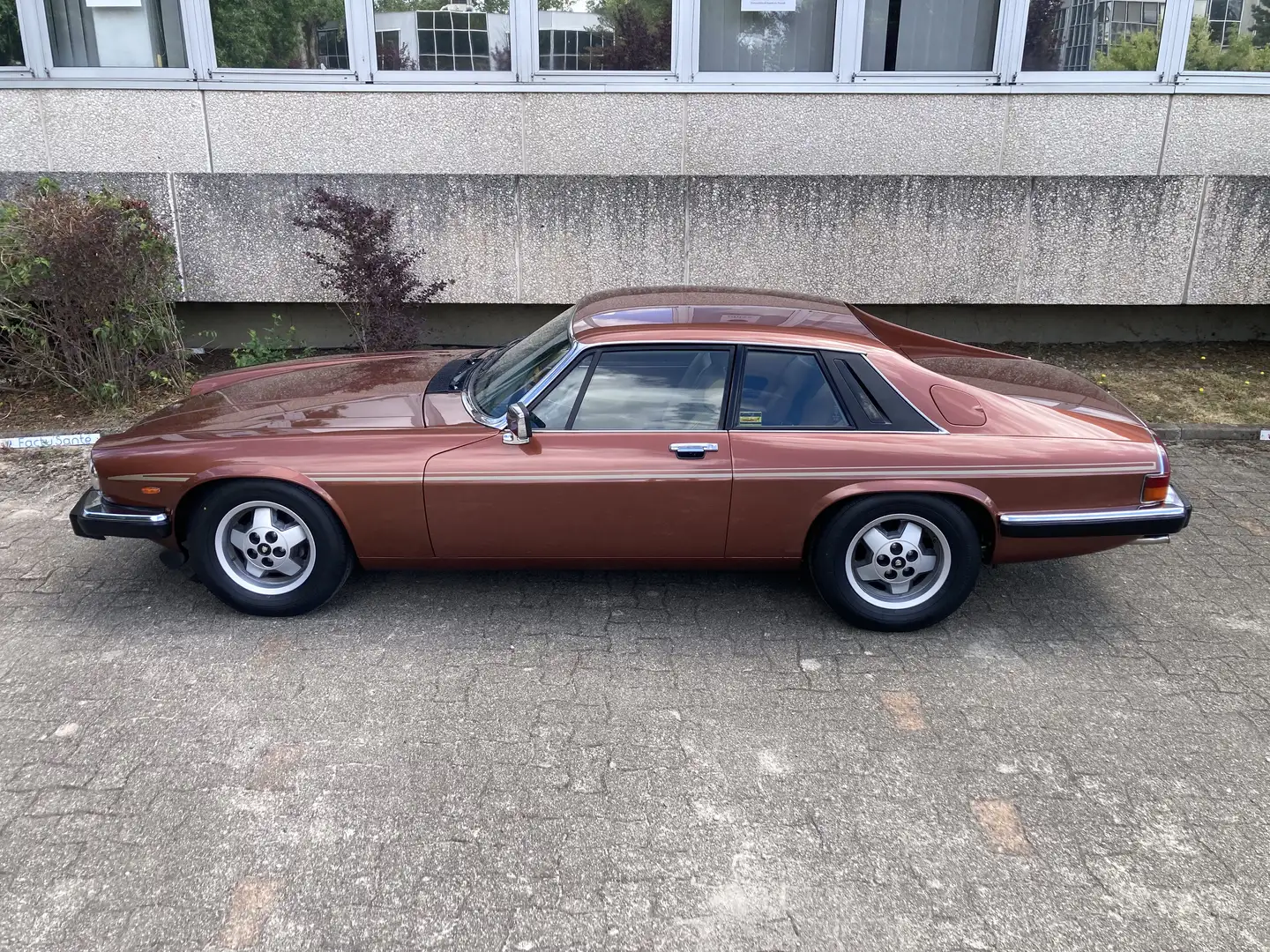 Jaguar XJS XJS V12 HE A Brun - 2