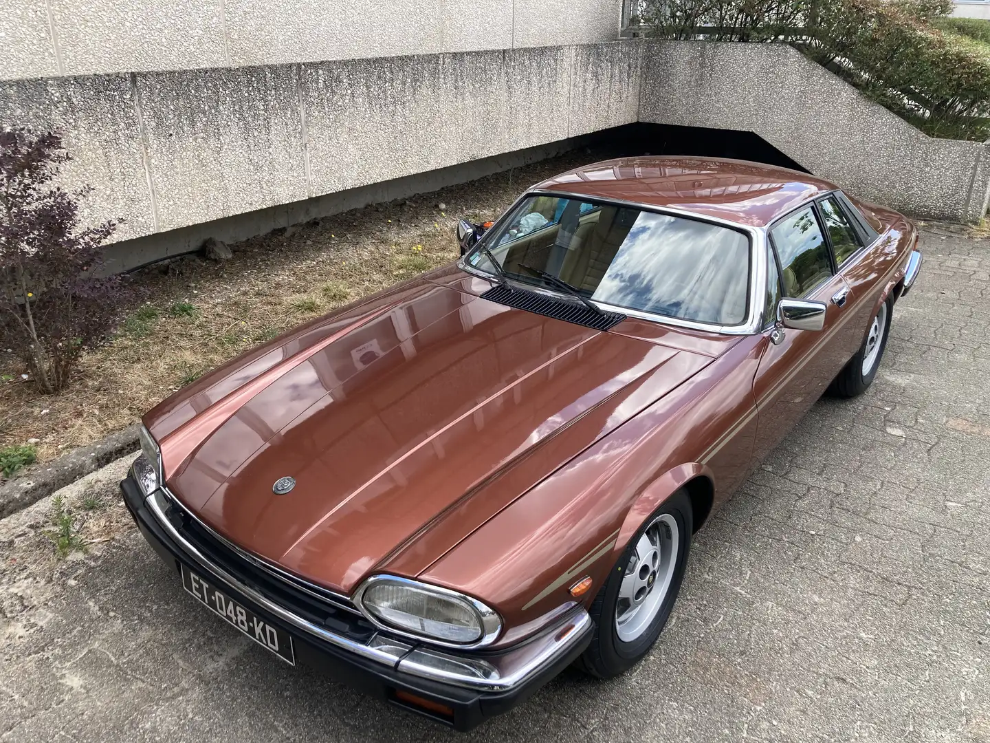 Jaguar XJS XJS V12 HE A Brun - 1