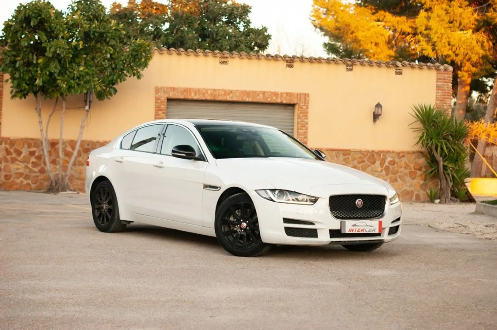 Jaguar XE 2.0 Diesel Pure AWD Aut. 180 Blanco - 1