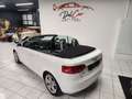 Audi A3 Cabriolet 1.6 Ambition Neopatentati Distribuzione Bianco - thumbnail 12