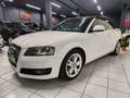 Audi A3 Cabriolet 1.6 Ambition Neopatentati Distribuzione Bianco - thumbnail 2