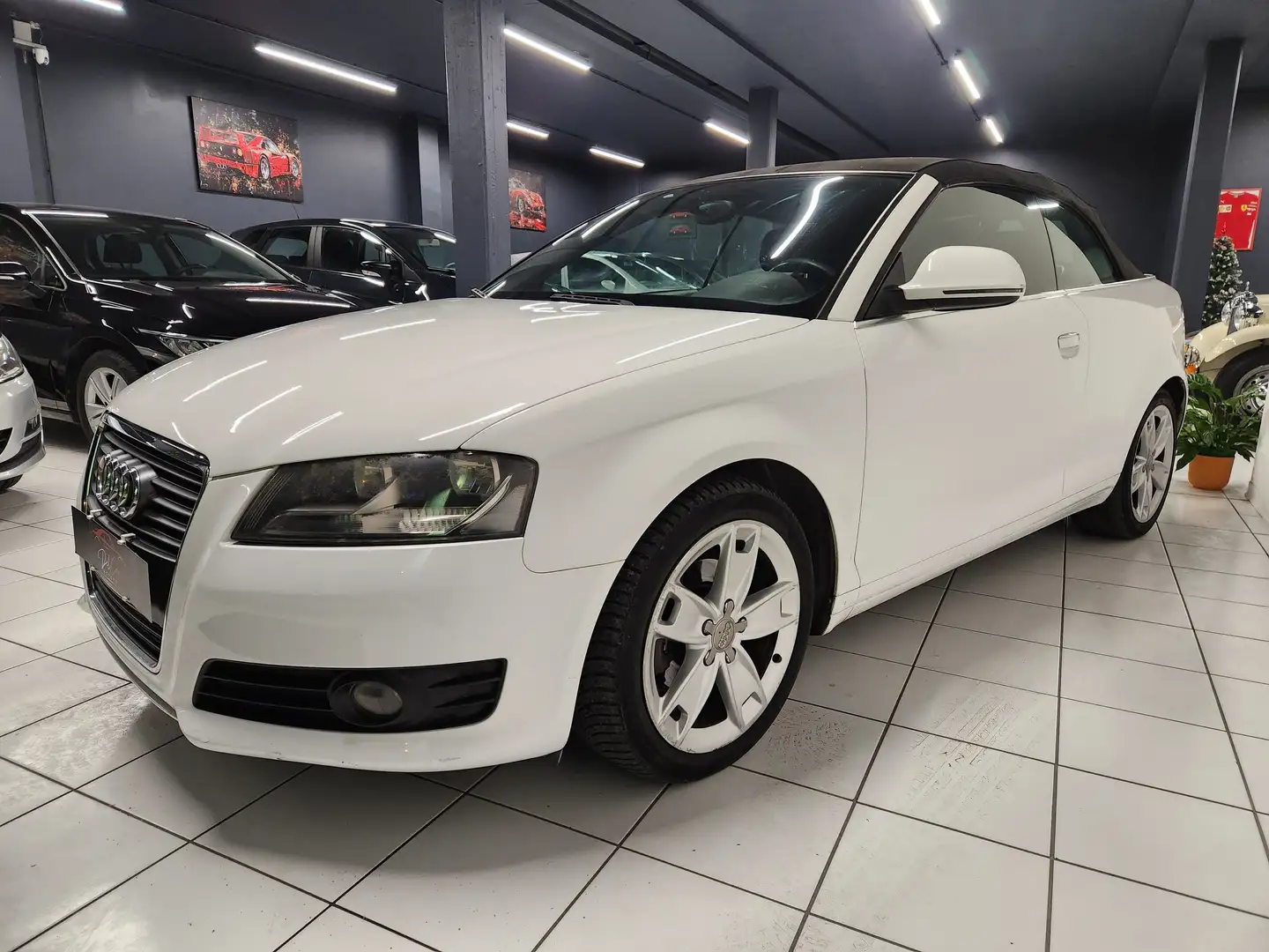 Audi A3 Cabriolet 1.6 Ambition Neopatentati Distribuzione Bianco - 2