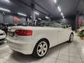 Audi A3 Cabriolet 1.6 Ambition Neopatentati Distribuzione Bianco - thumbnail 4