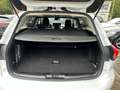 Ford Focus 1.5 TDCI St&St+NAVI+LED+6 GANG+KLIMA+PDC+SHZ+TEMPO Weiß - thumbnail 14