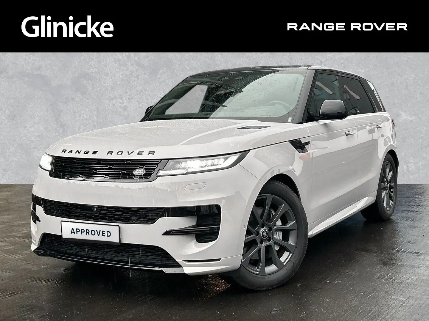 Land Rover Range Rover Sport D300 R-Dynamic SE / Winter Pak Grau - 1